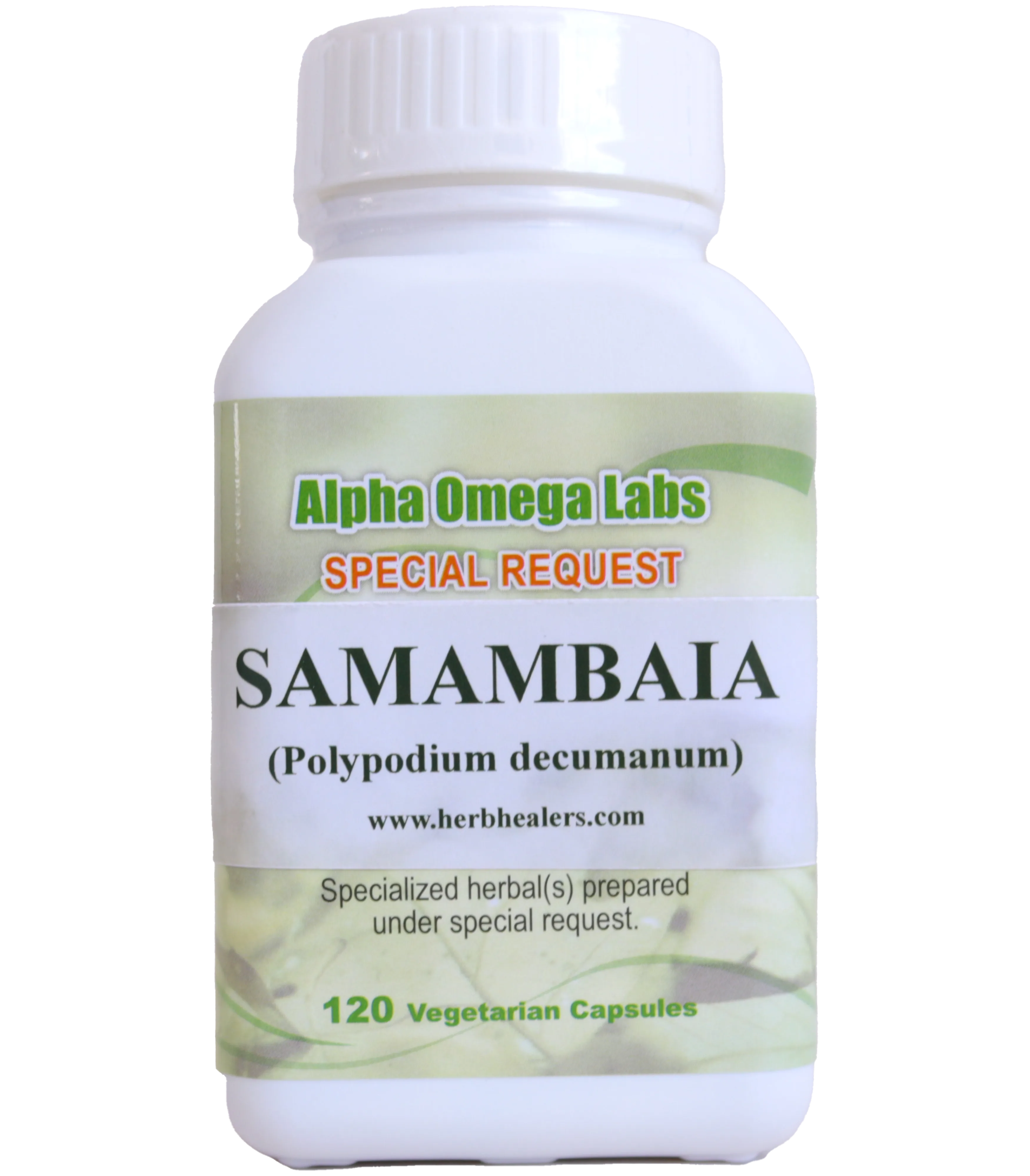 Samambaia - 120 Capsules x 500mg