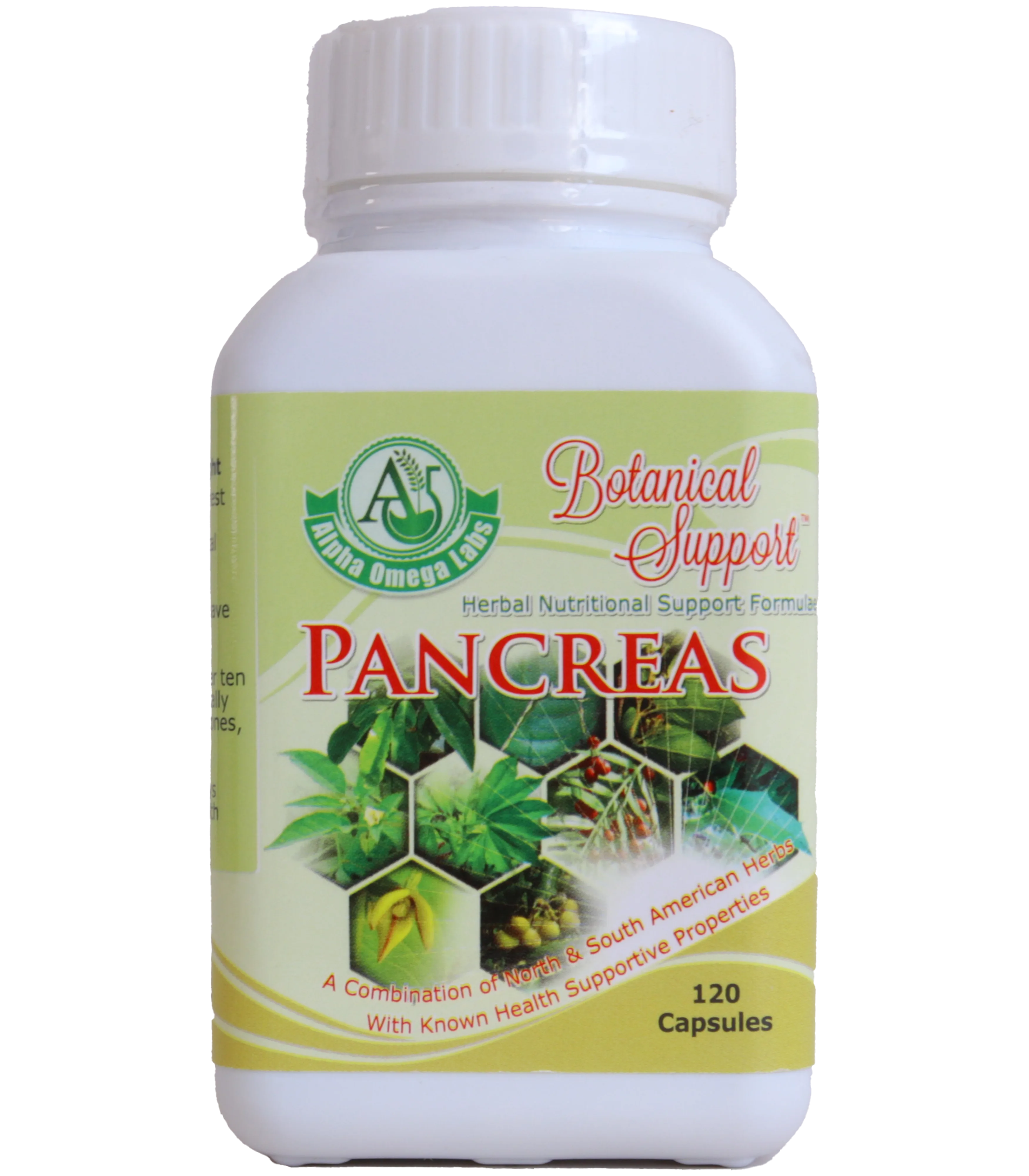 Botanical Support - Pancreatic - 120 Capsules x 500mg